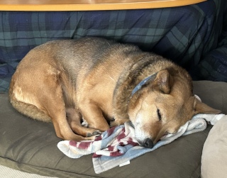 �w�L�с^�}�t���[�^�ʖڂȂЂ�