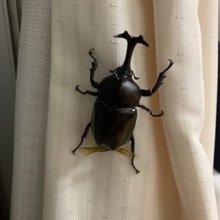 �s�K�^��d�^�J�T