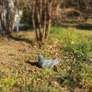 �i�C�`���Q�[���̘b�i���o���j