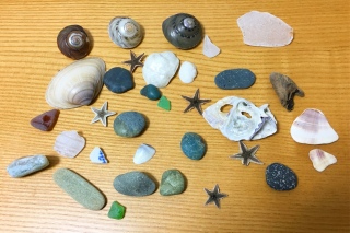 070�F�x�l�`�A���O���X