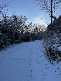 014�F�r�f�I�V���b�v