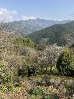 �}�������̃|�b�v�R�[���Z