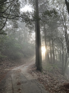 #�閧��n�ւ̗�